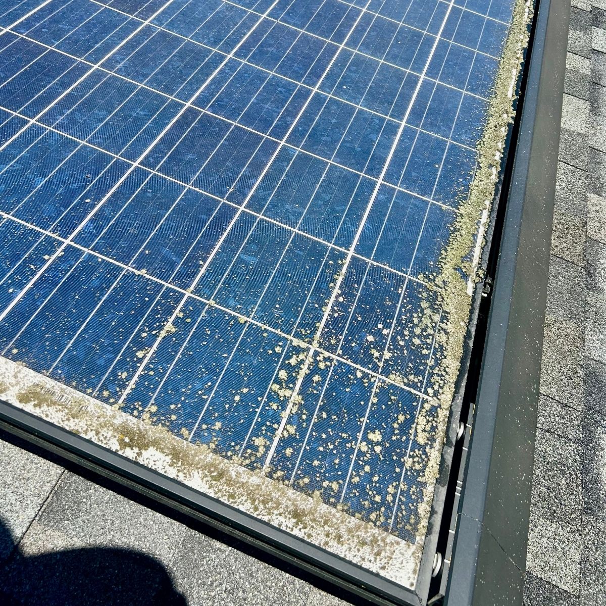 before-panel